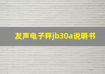 友声电子秤jb30a说明书