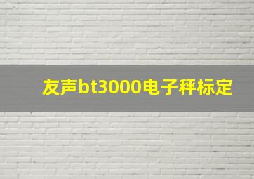 友声bt3000电子秤标定