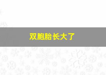 双胞胎长大了