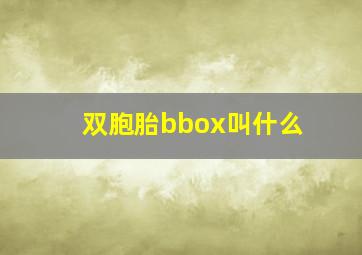 双胞胎bbox叫什么