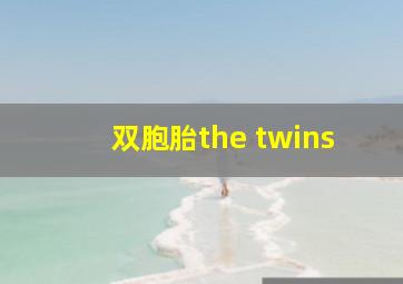 双胞胎the twins