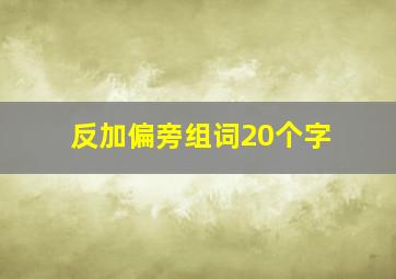 反加偏旁组词20个字