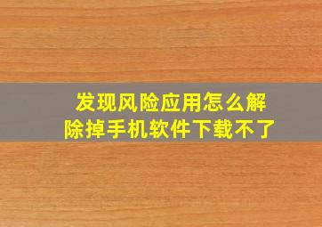 发现风险应用怎么解除掉手机软件下载不了