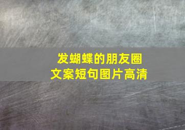 发蝴蝶的朋友圈文案短句图片高清