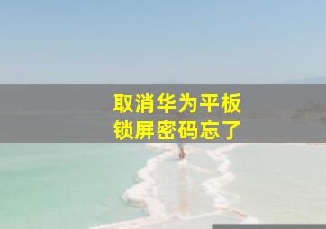 取消华为平板锁屏密码忘了