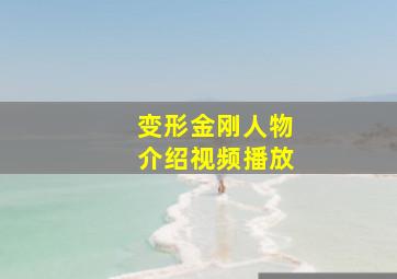 变形金刚人物介绍视频播放