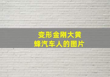 变形金刚大黄蜂汽车人的图片