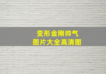 变形金刚帅气图片大全高清图