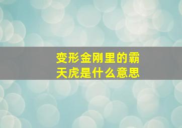 变形金刚里的霸天虎是什么意思