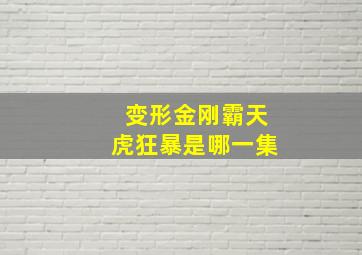 变形金刚霸天虎狂暴是哪一集