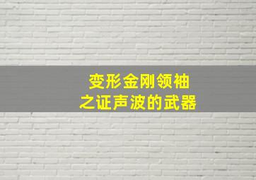 变形金刚领袖之证声波的武器