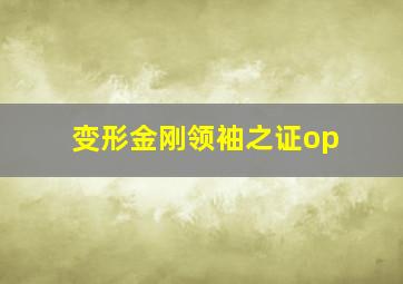 变形金刚领袖之证op