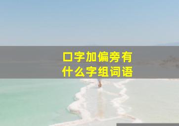 口字加偏旁有什么字组词语