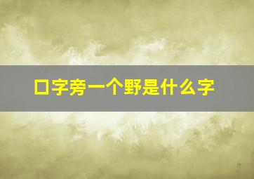 口字旁一个野是什么字