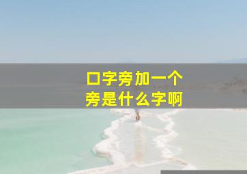 口字旁加一个旁是什么字啊