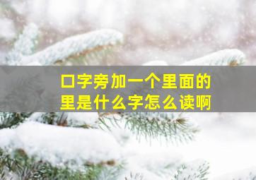 口字旁加一个里面的里是什么字怎么读啊