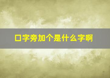 口字旁加个是什么字啊