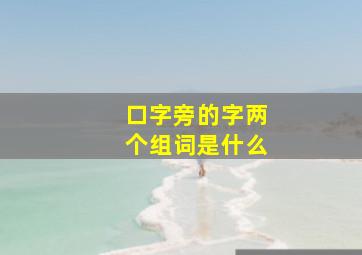 口字旁的字两个组词是什么