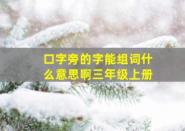 口字旁的字能组词什么意思啊三年级上册