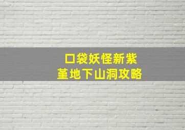 口袋妖怪新紫堇地下山洞攻略