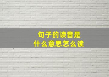 句子的读音是什么意思怎么读