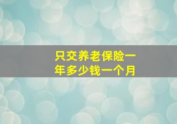 只交养老保险一年多少钱一个月