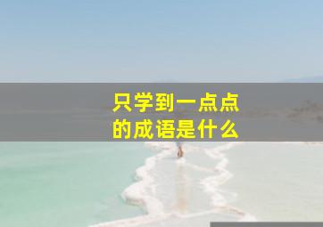 只学到一点点的成语是什么