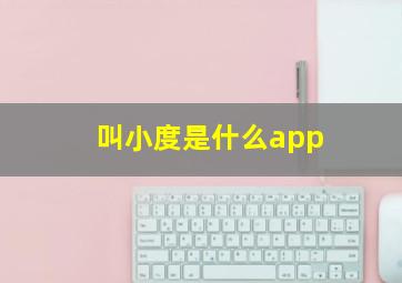 叫小度是什么app