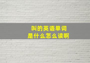 叫的英语单词是什么怎么读啊