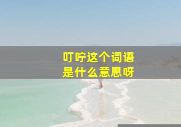 叮咛这个词语是什么意思呀