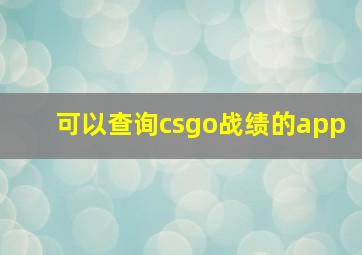 可以查询csgo战绩的app