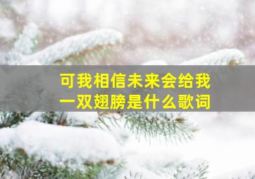 可我相信未来会给我一双翅膀是什么歌词