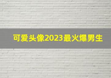 可爱头像2023最火爆男生