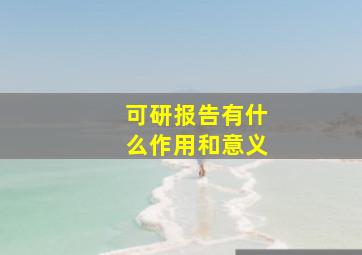 可研报告有什么作用和意义