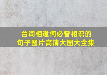 台词相逢何必曾相识的句子图片高清大图大全集