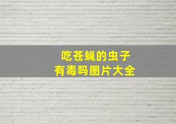 吃苍蝇的虫子有毒吗图片大全