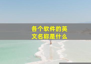 各个软件的英文名称是什么