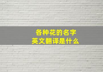 各种花的名字英文翻译是什么