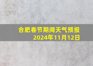 合肥春节期间天气预报2024年11月12日