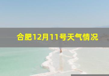 合肥12月11号天气情况