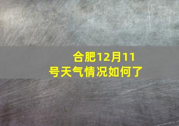 合肥12月11号天气情况如何了