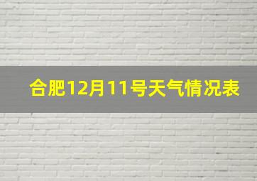 合肥12月11号天气情况表