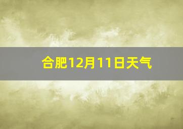 合肥12月11日天气