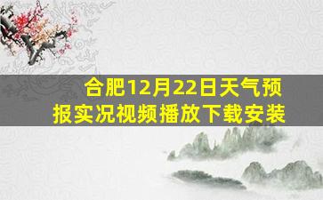 合肥12月22日天气预报实况视频播放下载安装