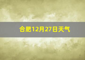 合肥12月27日天气