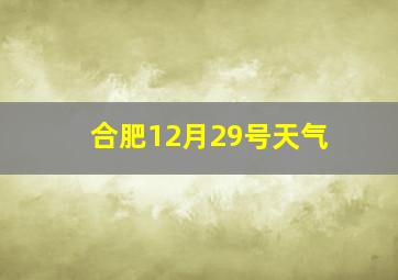 合肥12月29号天气