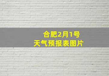 合肥2月1号天气预报表图片