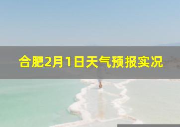 合肥2月1日天气预报实况