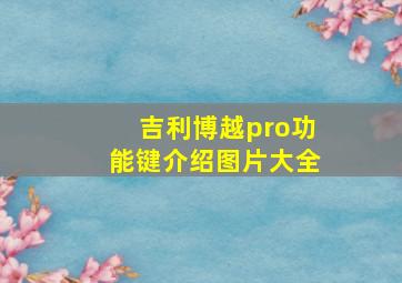 吉利博越pro功能键介绍图片大全