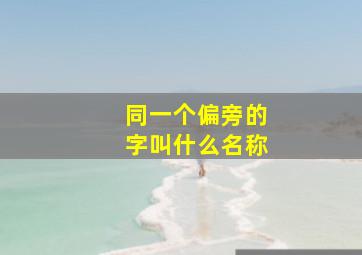 同一个偏旁的字叫什么名称